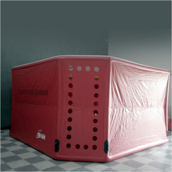 Brijbasi Safetyaircushion 2